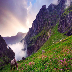 package-itinerary1566399462166rsz_manali20