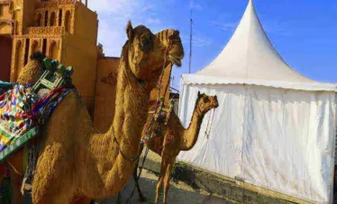 Rann Utsav