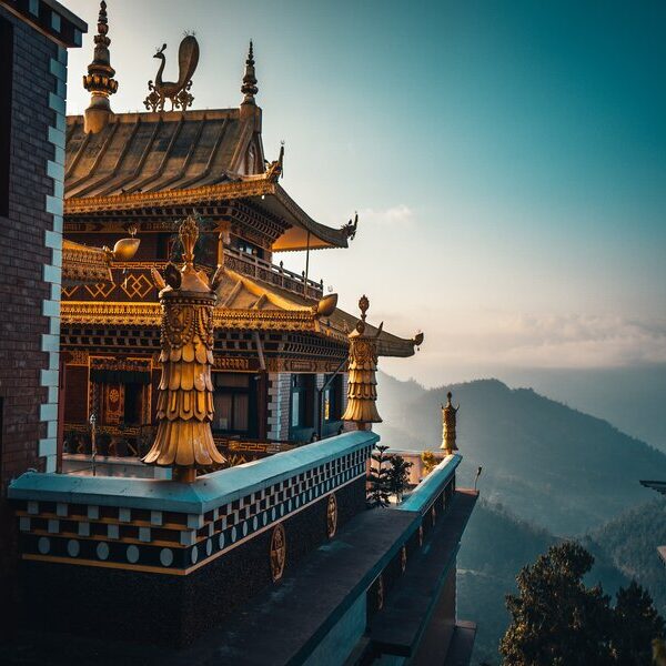 thumbnail16926036063424rsz_raimond-klavins-jqt2wp5s0dk-unsplash Np0